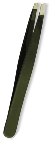 Text